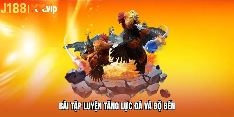 Bài tập luyện tăng lực đá và độ bền