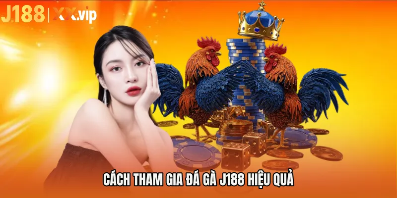 Cách tham gia ĐÁ GÀ J188 hiệu quả