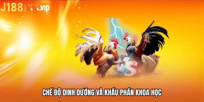 Chế độ dinh dưỡng và khẩu phần khoa học