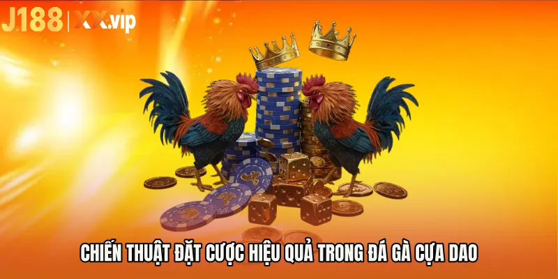 Chiến thuật đặt cược hiệu quả trong đá gà cựa dao