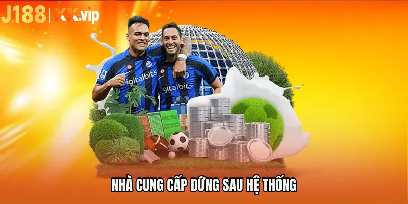 Nhà cung cấp đứng sau hệ thống