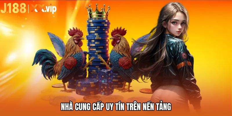 Nhà cung cấp uy tín trên nền tảng