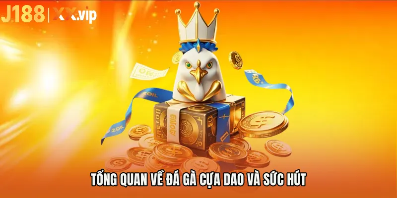 Tổng quan về đá gà cựa dao và sức hút